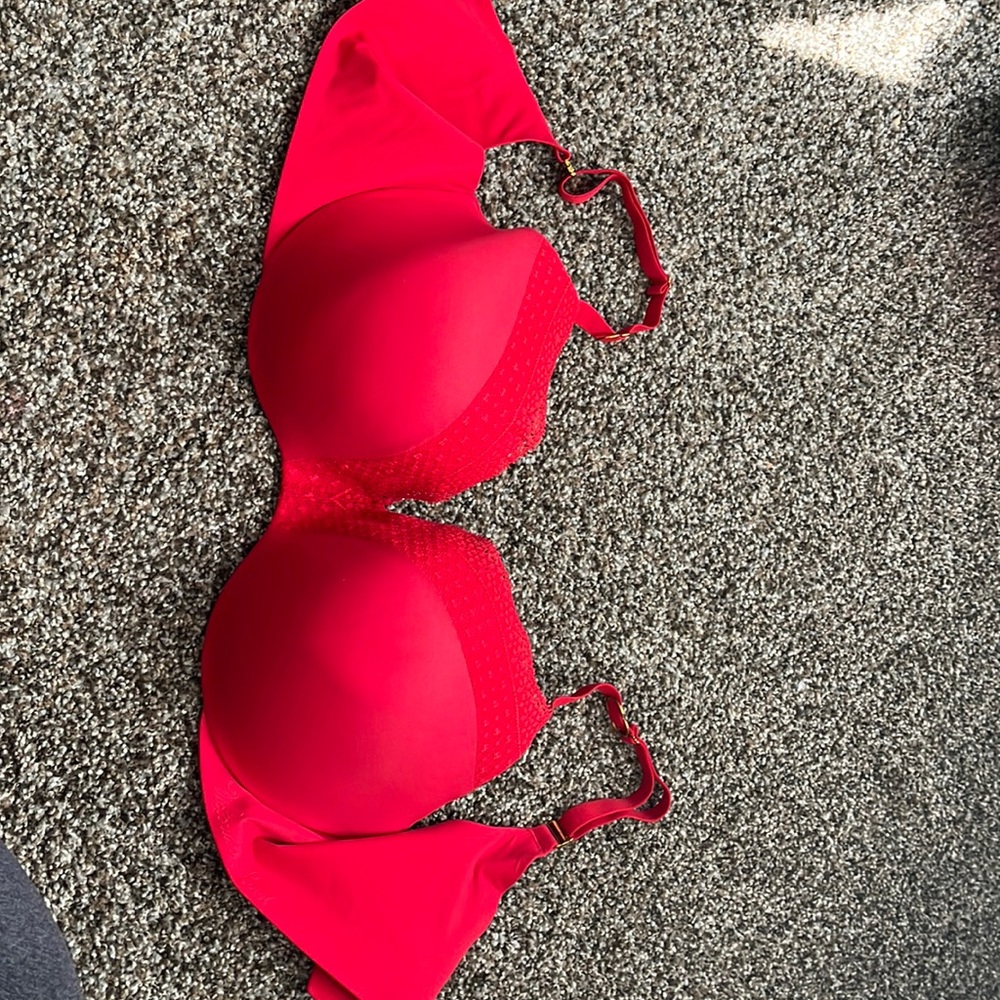 VS Incredible Bra 38DD